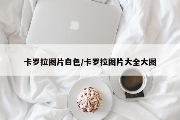卡罗拉图片白色/卡罗拉图片大全大图