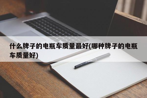 什么牌子的电瓶车质量最好(哪种牌子的电瓶车质量好)