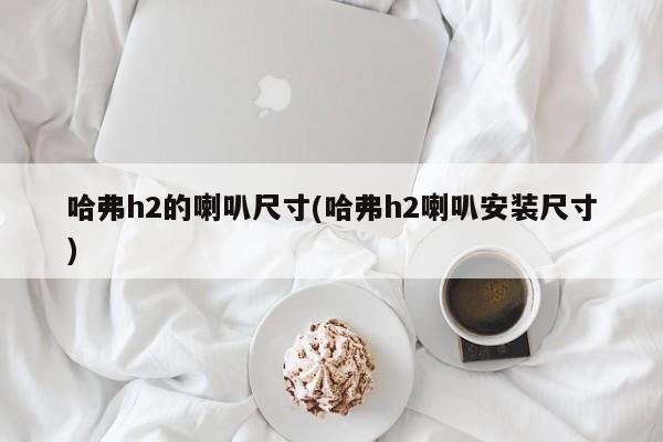 哈弗h2的喇叭尺寸(哈弗h2喇叭安装尺寸)