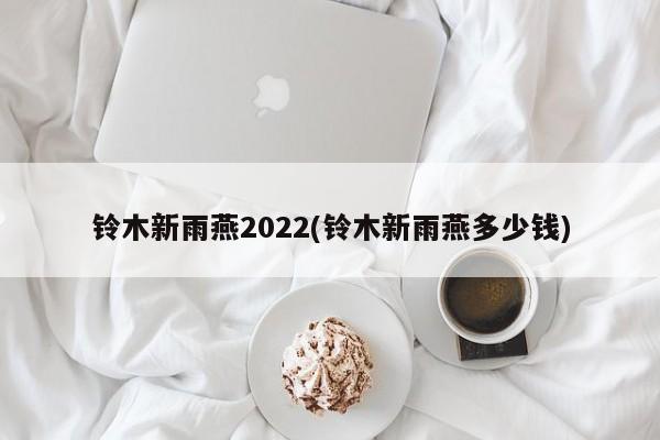 铃木新雨燕2022(铃木新雨燕多少钱)
