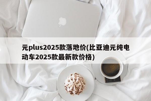 元plus2025款落地价(比亚迪元纯电动车2025款最新款价格)